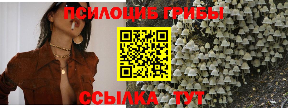 Галлюциногенные грибы MAGIC MUSHROOMS  Вход с VPN  купить наркотики сайты  Ливны 