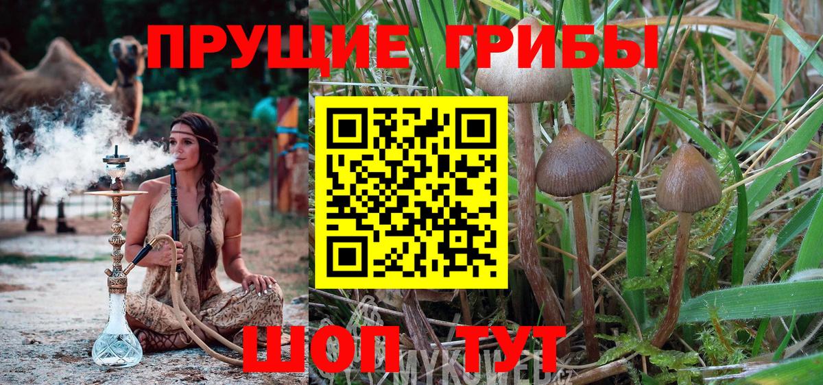 Псилоцибиновые грибы Magic Shrooms Ливны