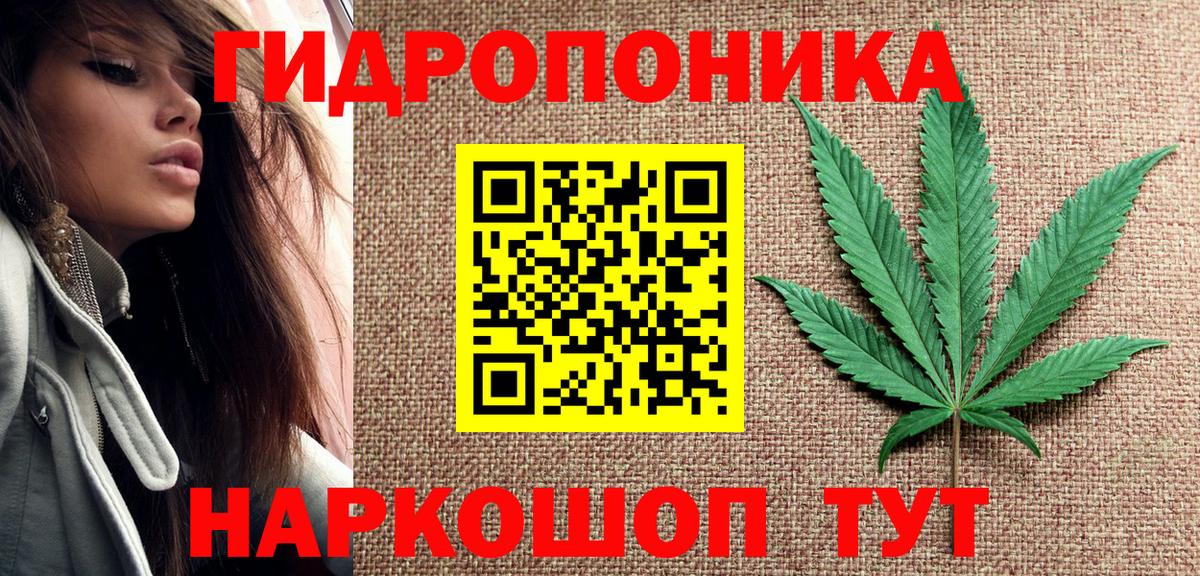 Ливны  Канабис конопля  Вход с VPN  Бошки марихуана сатива  Бошки Шишки планчик  Бошки марихуана марихуана 